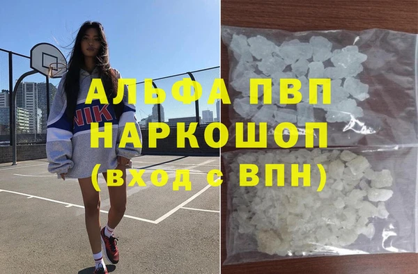 СК Белокуриха