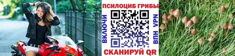 Псилоцибиновые грибы мухоморы  где найти   Кировск 
